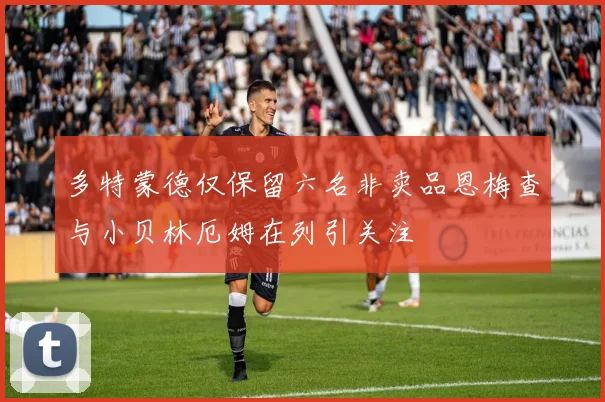 多特蒙德仅保留六名非卖品恩梅查与小贝林厄姆在列引关注
